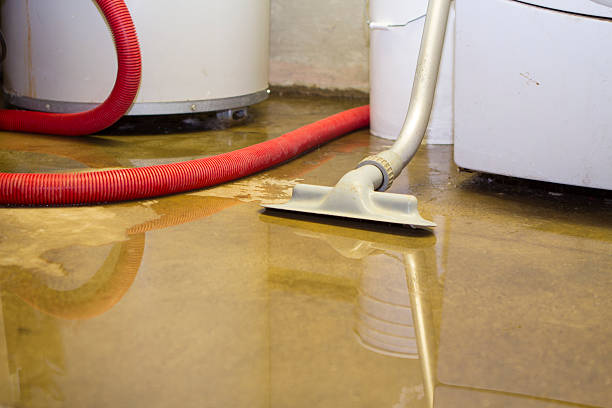 Best 24/7 water damage repair  in Jonesborough, TN
