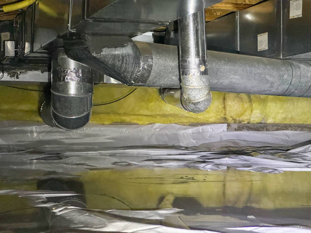 Best Water damage restoration near me  in Jonesborough, TN