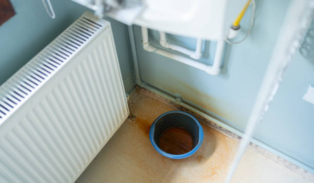 Best Flood damage cleanup  in Jonesborough, TN